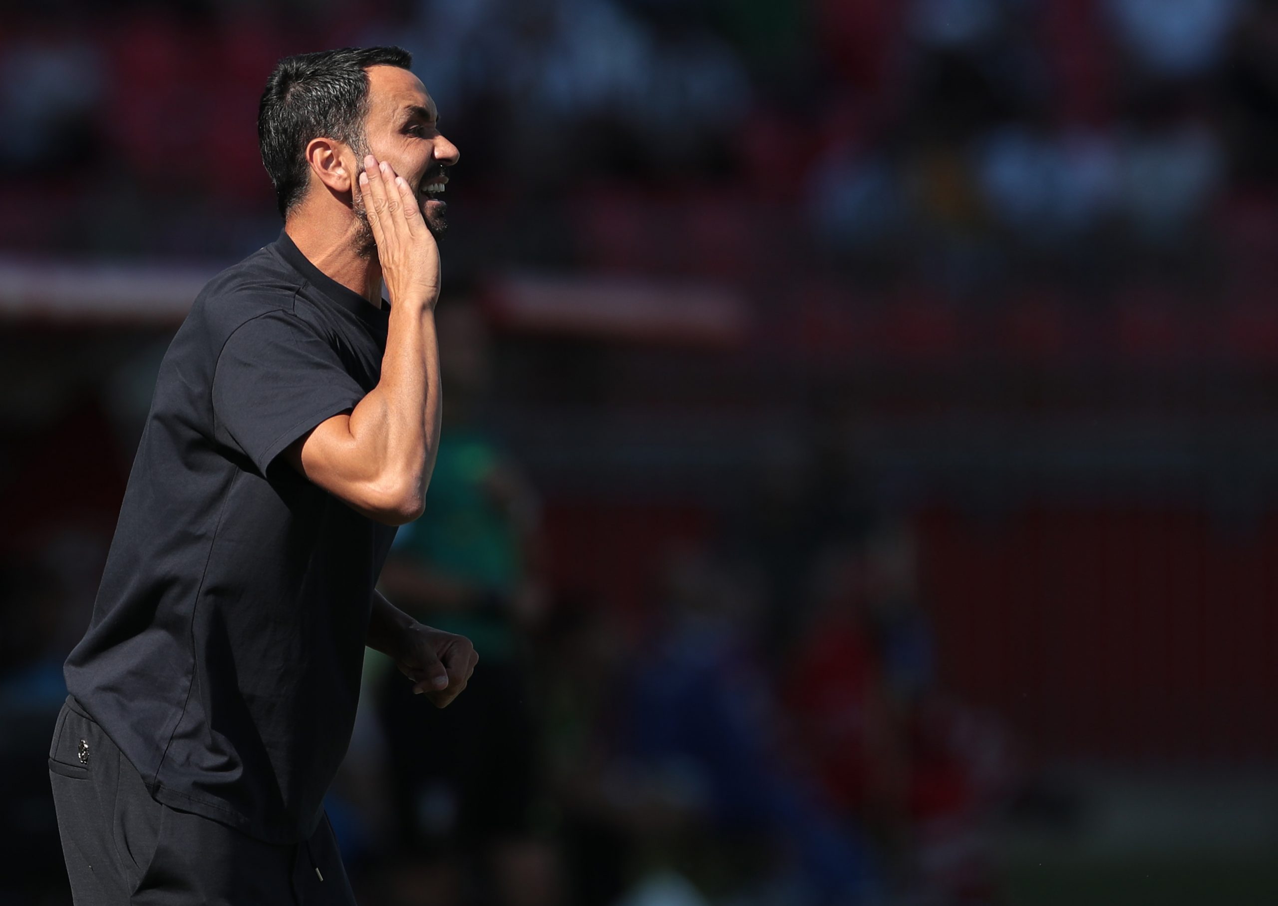 Palladino, la Fiorentina fa un annuncio: pare che…