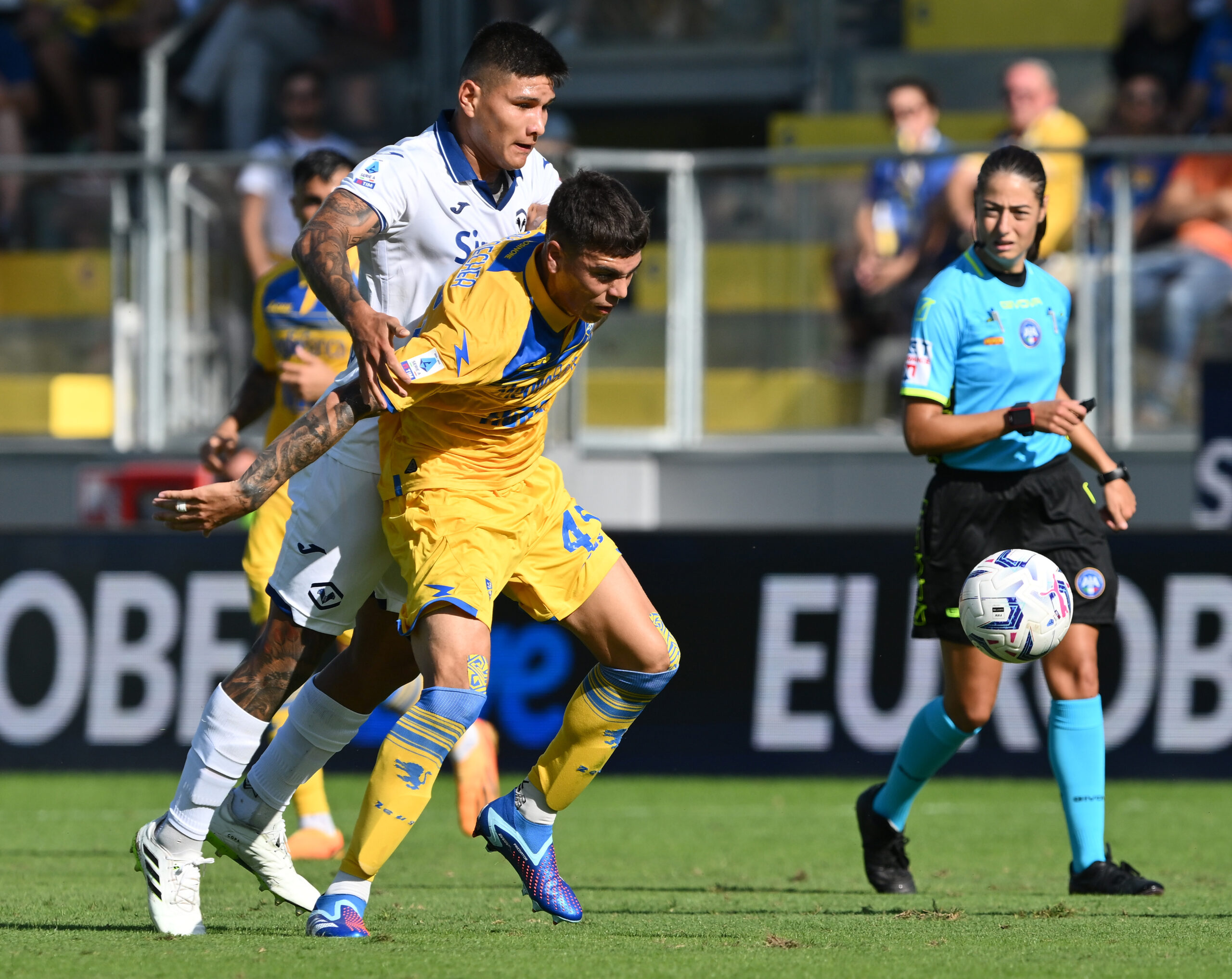 News Frosinone – Angelozzi: “Barrenechea prossimo titolare nell’Argentina”